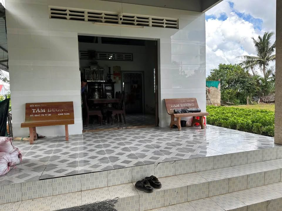 Đất thổ cư 300m² tại Phú Sơn, Chợ Lách, Bến Tre - Giá chỉ 750 triệu, thương lượng chính chủ!