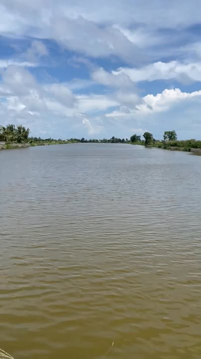 Đất tôm lúa 25 công ở xã Đông Hưng, An Minh, Kiên Giang - Giá chỉ 3 tỷ