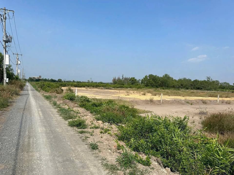 Đất thổ cư mặt tiền đường Xương Cá, Cần Giờ 6508m² - Cơ hội đầu tư hấp dẫn!