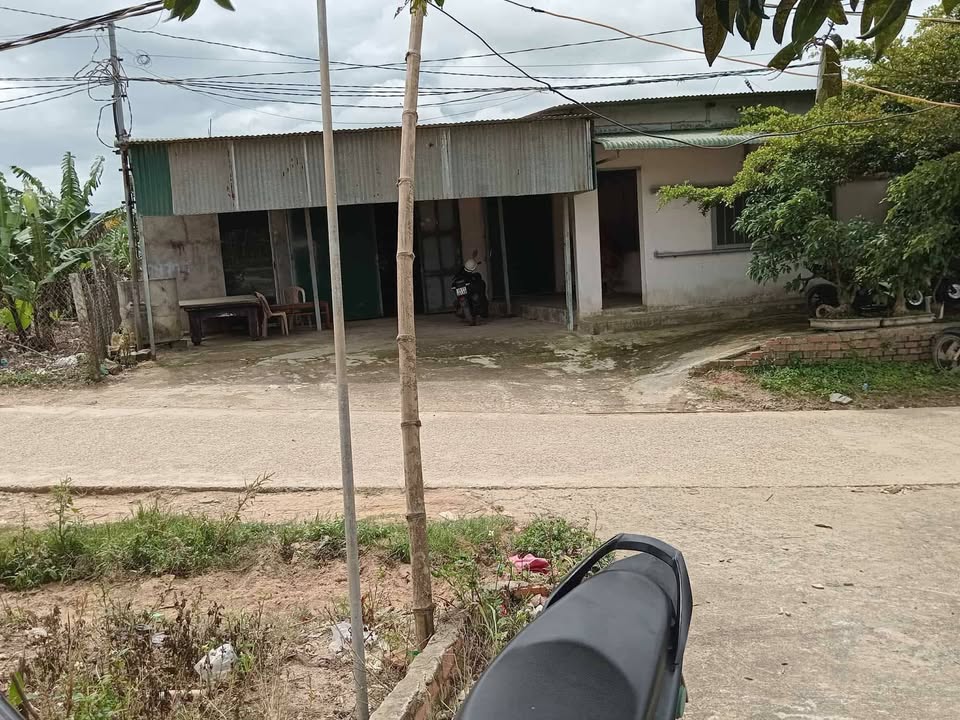 Đất nền 1300m² tại Quảng Lập, Đơn Dương - Giá 1.5 tỷ, sẵn nhà cấp 4!