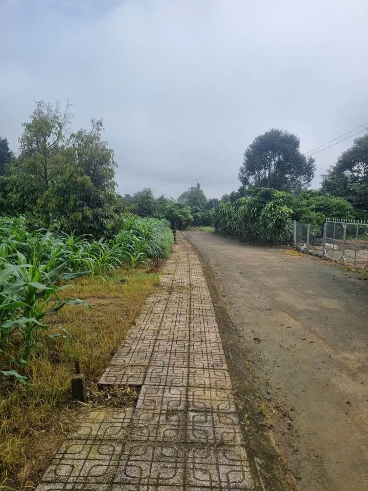 Đất thổ cư Tân Lạc Bảo Lâm 112m² giá 550 triệu - Sổ đỏ chính chủ