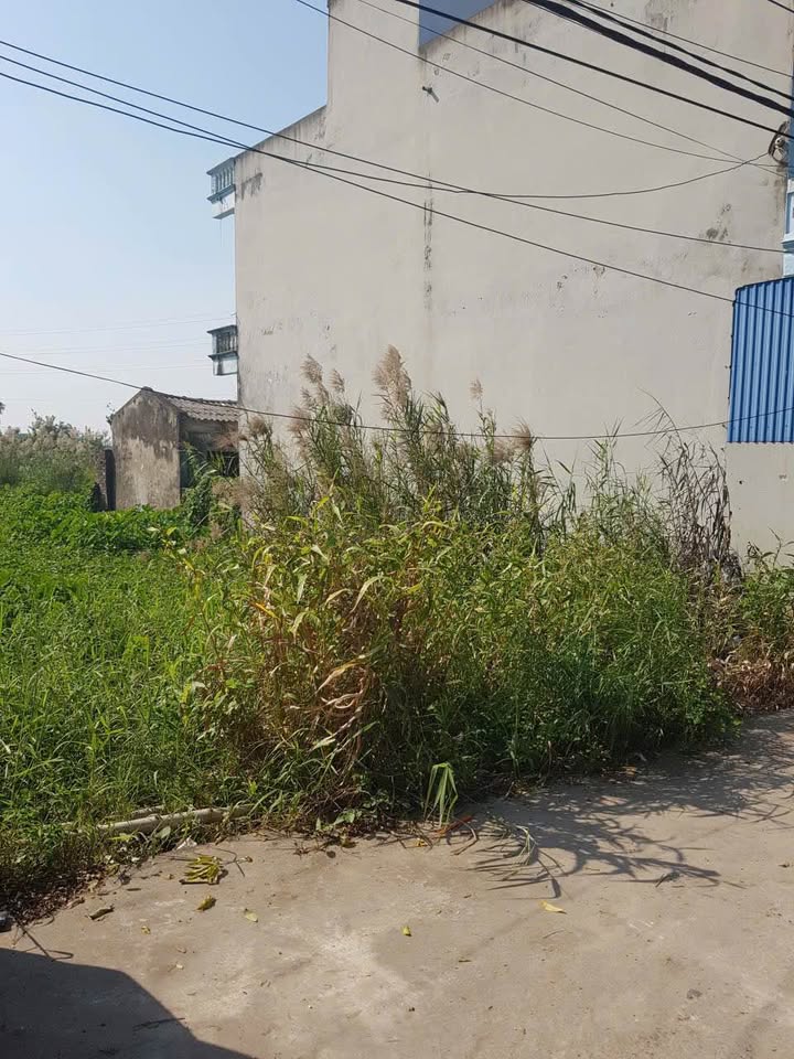 Đất mặt đường nhánh 38A Mỹ Phúc 98m² giá 2.1 tỷ - Đầu tư sinh lời hoặc xây nhà ở!