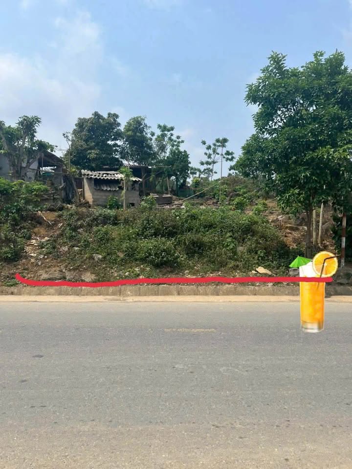 Đất thổ cư Mộc Châu 338.1m² giá thương lượng - Đón sóng cao tốc Hòa Bình!