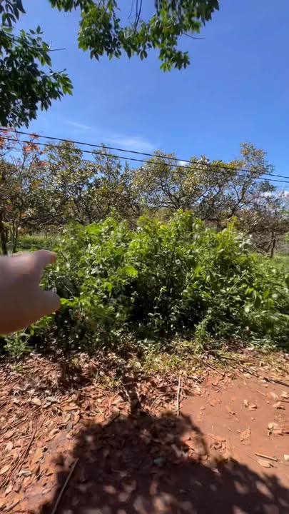 Đất nền Ia Grai 3636m² giá 1.25 tỷ - Đường vào tận nơi, cơ hội đầu tư tuyệt vời!