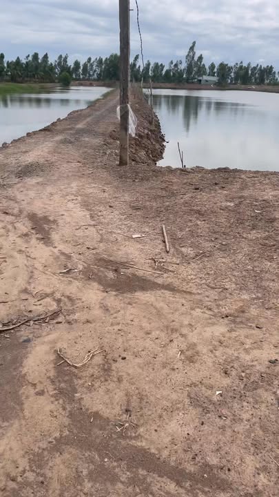 Đất hầm sẵn Phú Hiệp Tam Nông 40.000m² giá 2 tỷ - Đầu tư sinh lời ngay!