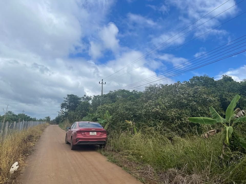 Đất nền thổ cư 1000m² tại Đắk Gằn - Giá chỉ 290 triệu, đầu tư sinh lời!