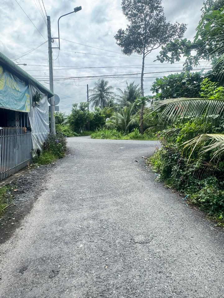 Đất thổ cư 120m² tại Tân Mỹ Chánh - Giá chỉ 800 triệu - Đầu tư sinh lời cao!