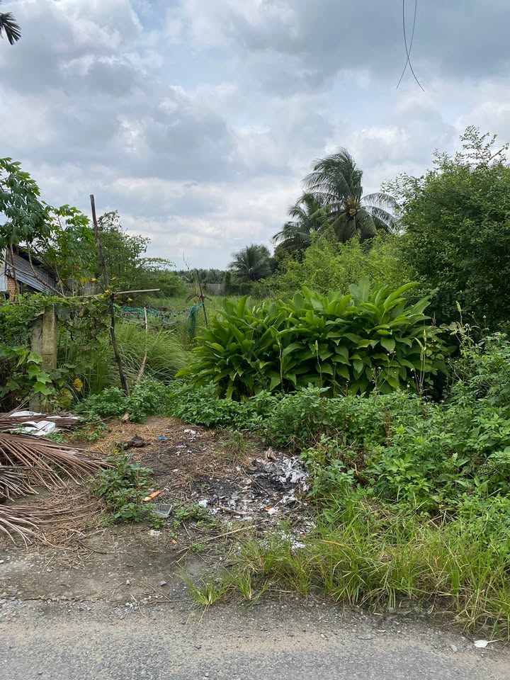 Đất nền mặt tiền đường N7, Tân Mỹ Chánh 318m² giá 1.2 tỷ - Đầu tư sinh lời ngay!