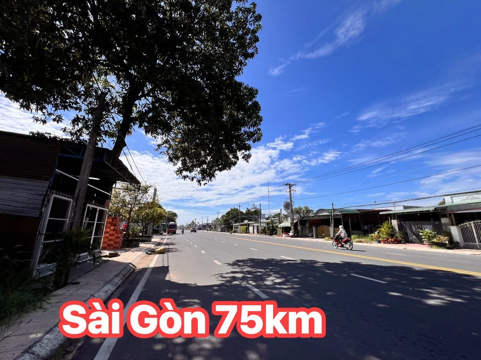 Đất mặt tiền Tôn Đức Thắng, Tây Ninh 705m² giá 7.05 tỷ - Cơ hội đầu tư hấp dẫn!