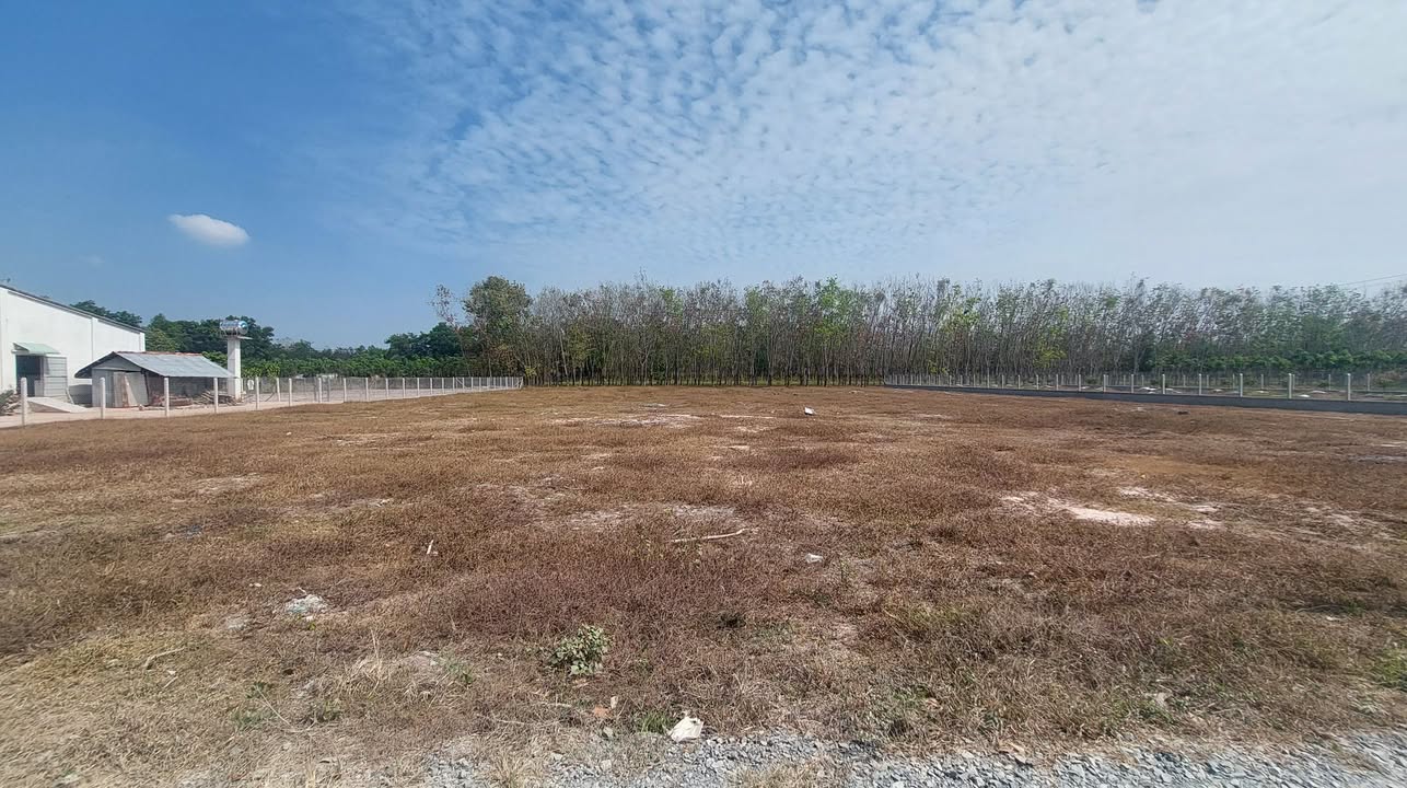 Đất thổ cư 4600m² tại Thạnh Đức, Gò Dầu, Tây Ninh - Giá chỉ 1,1 tỷ!