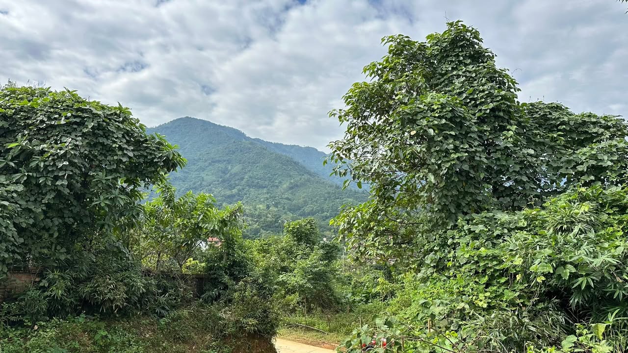 Đất thổ cư 2000m² Tiến Xuân, Thạch Thất - Giá chỉ vài triệu/m², pháp lý rõ ràng!