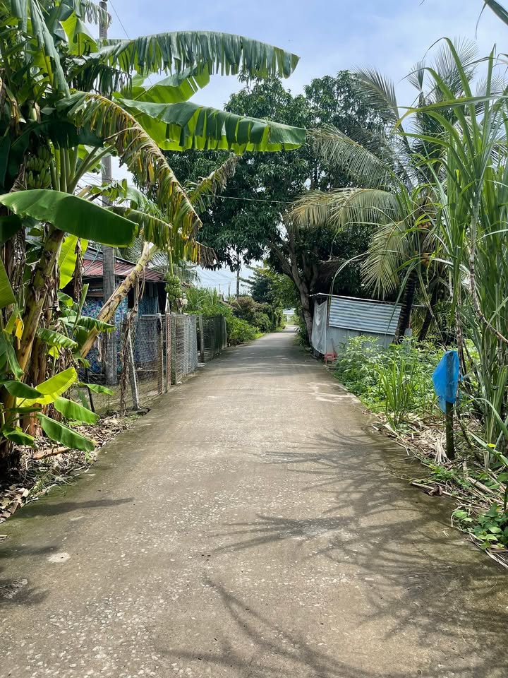 Đất thổ cư Thới Đông, Cờ Đỏ 185m² giá 480 triệu - Tặng nhà cấp 4 tiền chế!