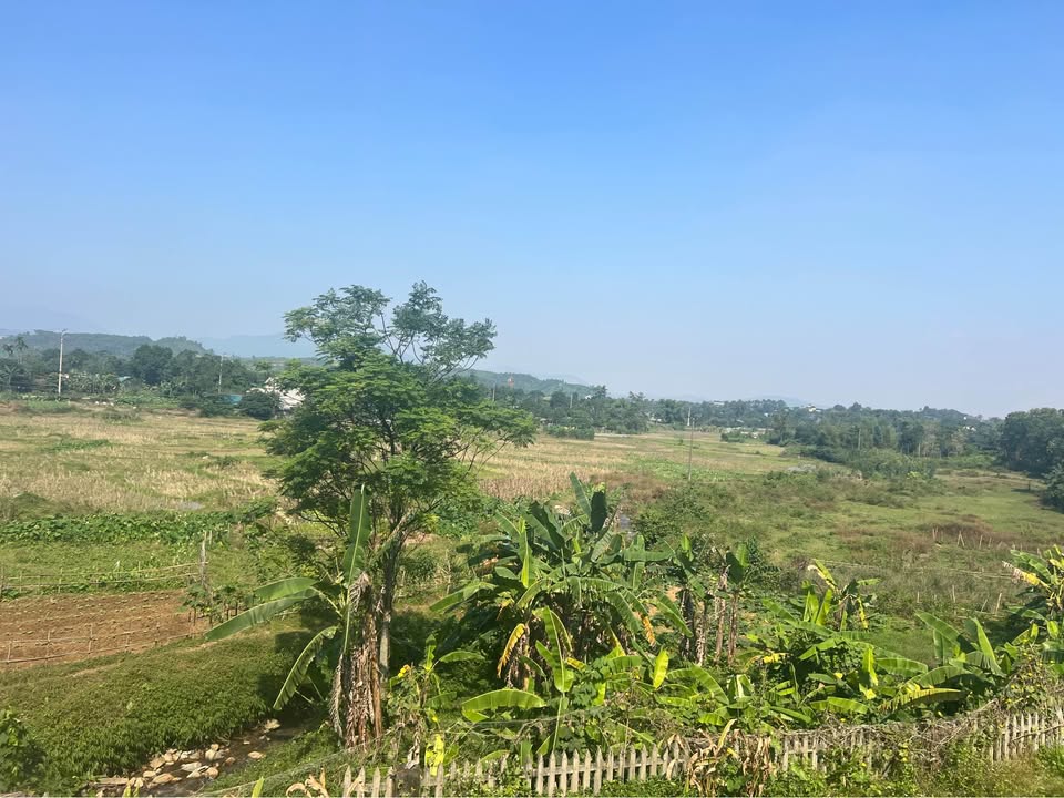 Đất nghỉ dưỡng tại Cư Yên, Lương Sơn 2000m² - Tận hưởng không gian xanh mát!