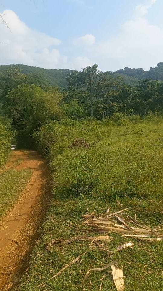 Đất nền Kiệt Sơn, Tân Sơn 3100m² giá 400 triệu - Tiềm năng phát triển lớn!