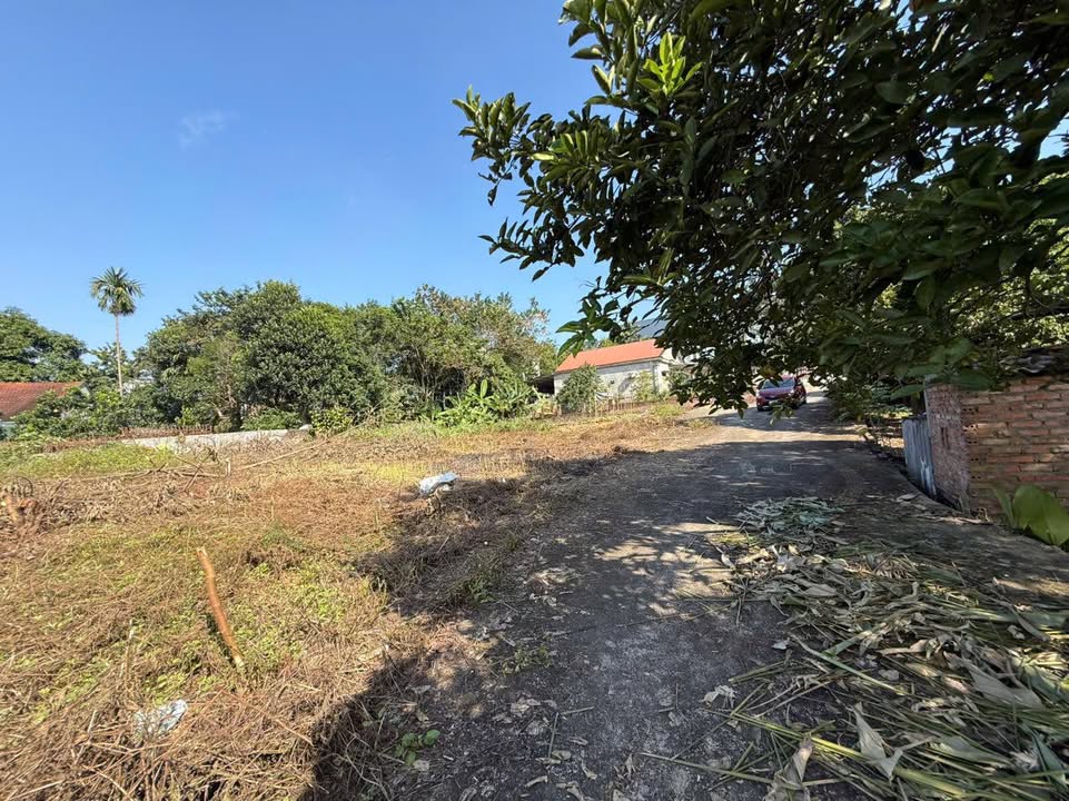 Đất nền Vân Phú 85m² giá 1.5 tỷ - Hướng Đông Nam, đường ngõ cụt