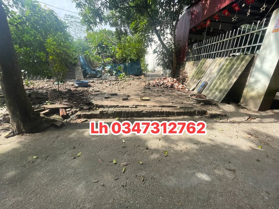 Đất nền 100m² Phường Thanh Vinh giá 800 triệu - Đầu tư sinh lời ngay!