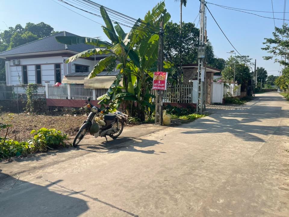 Đất liền kề 2 ô tại Cổ Tiết, Tam Nông - Diện tích 24m², giá thỏa thuận!