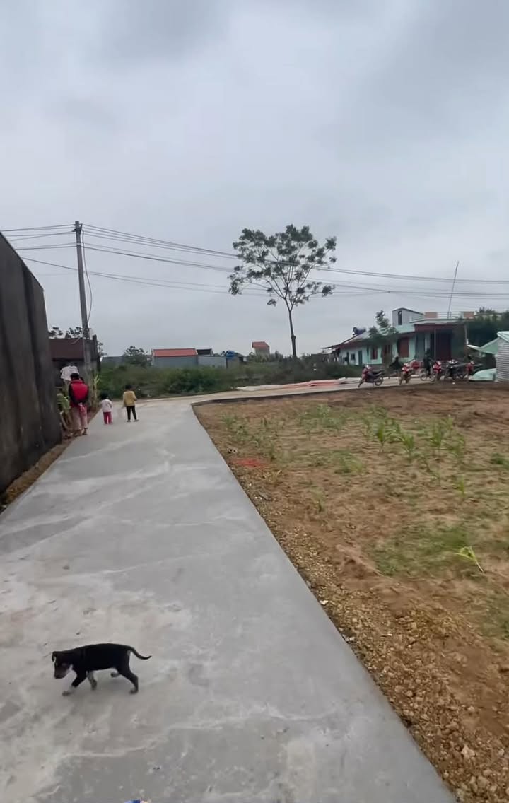 Đất nền chính chủ Đa Lộc, Hậu Lộc 109m² - Giá chỉ 6xx triệu VND