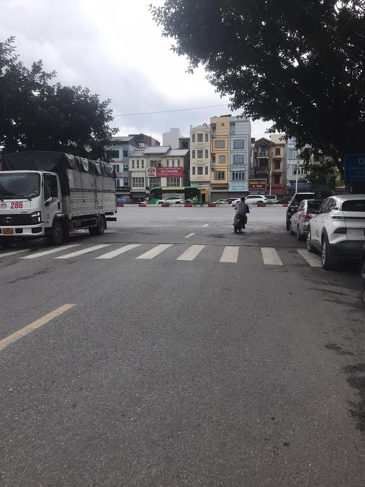 Cho thuê Biệt Thự Phố Lâm Hạ 100m² giá thỏa thuận - An ninh tốt, dân trí cao!