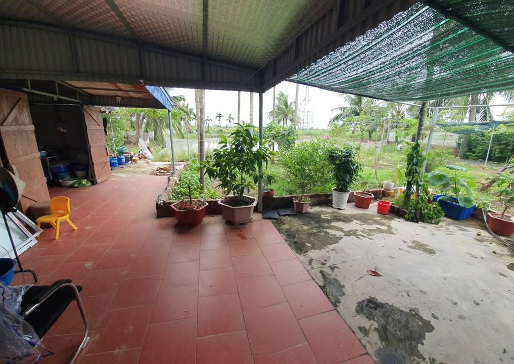 Đất nông nghiệp 1.781m² tại Lập Lễ, Hải Phòng - Giá chỉ 1.8 tỷ!