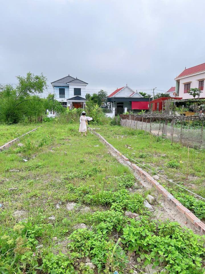 Đất nền Tân Thành, Dương Kinh 80m² giá 2 tỷ - Đầu tư sinh lời ngay!