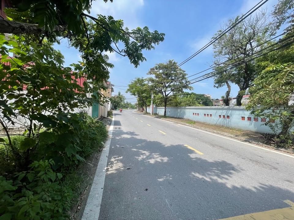 Đất nền Đa Tốn, Gia Lâm 97.5m² giá thỏa thuận - Tiềm năng đầu tư lớn!