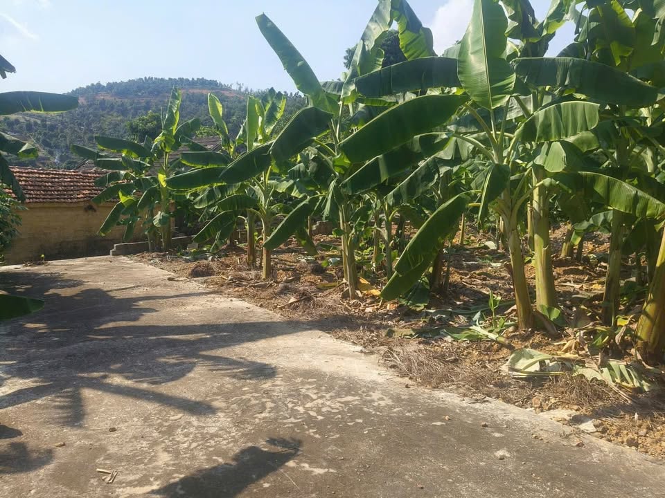 Đất nền 60m² tại Việt Khê, Thủy Nguyên chỉ 200 triệu - Sổ đỏ chính chủ!