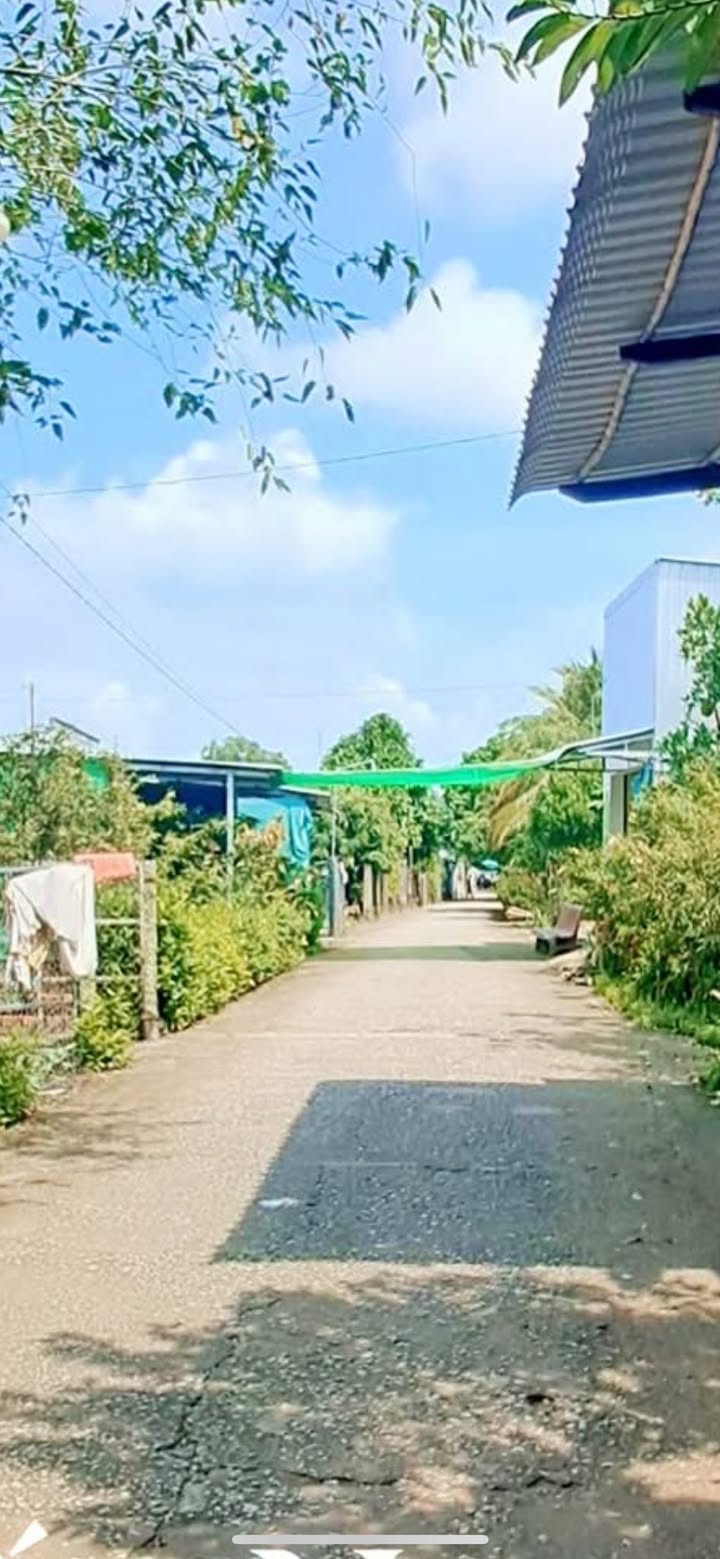 Bán vườn sầu riêng 9000m² xã Trường Thắng giá 1.9 tỷ - Đường xe ô tô vào tận nơi!