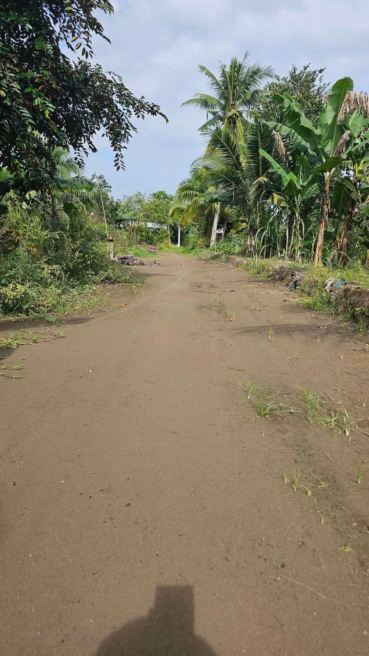 Mảnh vườn nghỉ dưỡng Phước Thới Cần Thơ 1424m² giá 3 tỷ - Cơ hội đầu tư lý tưởng!