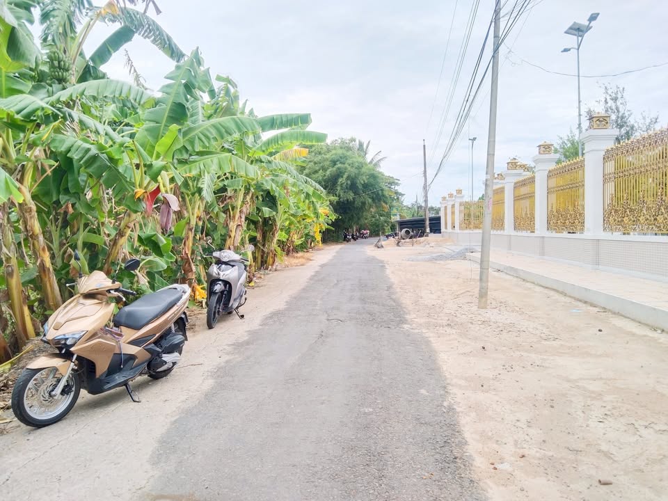 Đất nền 150m² Tỉnh Lộ 923, Cần Thơ giá 550 triệu - Đất cao ráo, dân cư đông đúc!