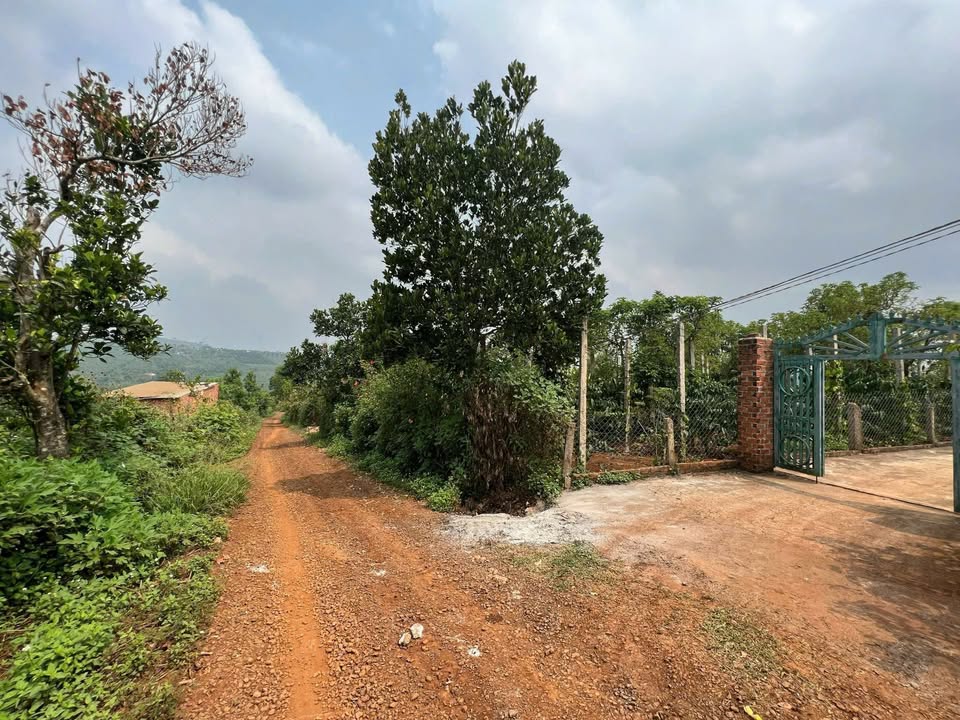 Đất nền Ea Tân Krông Năng 420m² giá 499 triệu - Sổ đỏ chính chủ sẵn sàng giao dịch!