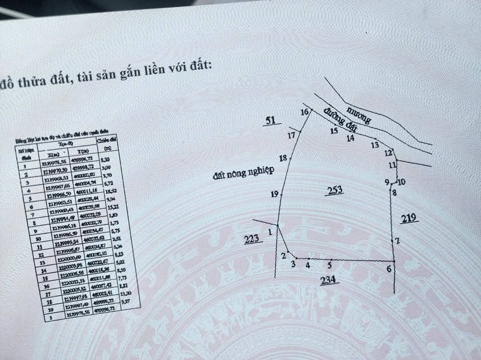 Đất nền Hàm Chính 3600m² giá 420 triệu - Tiềm năng cho nhà vườn lý tưởng!