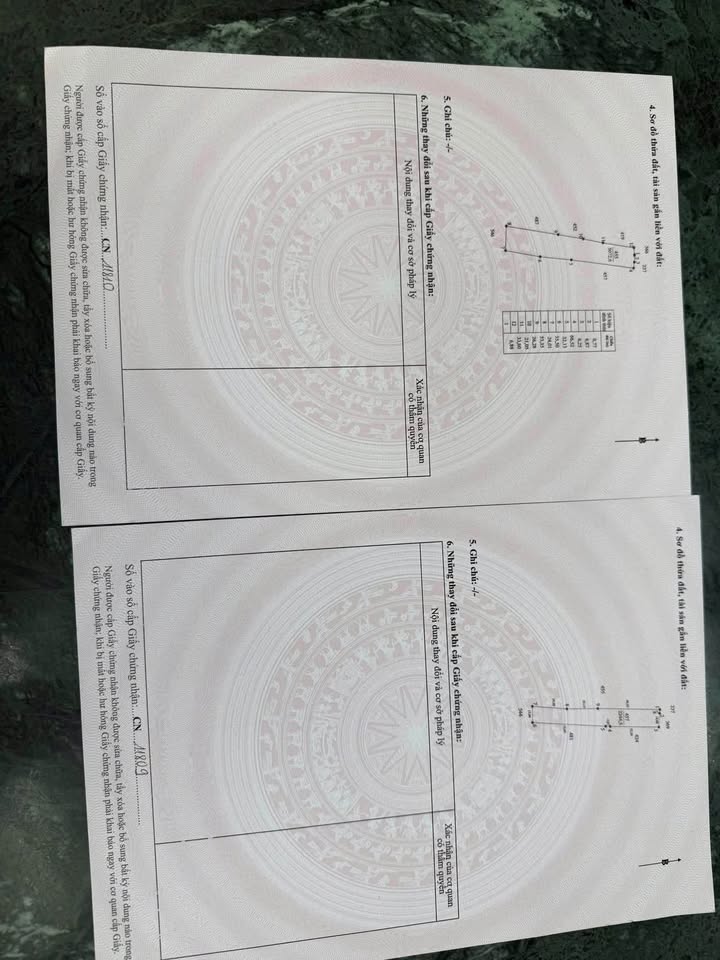 Đất trồng lúa 5300m² tại Long Hựu Đông, Cần Đước - Giá chỉ 355 triệu