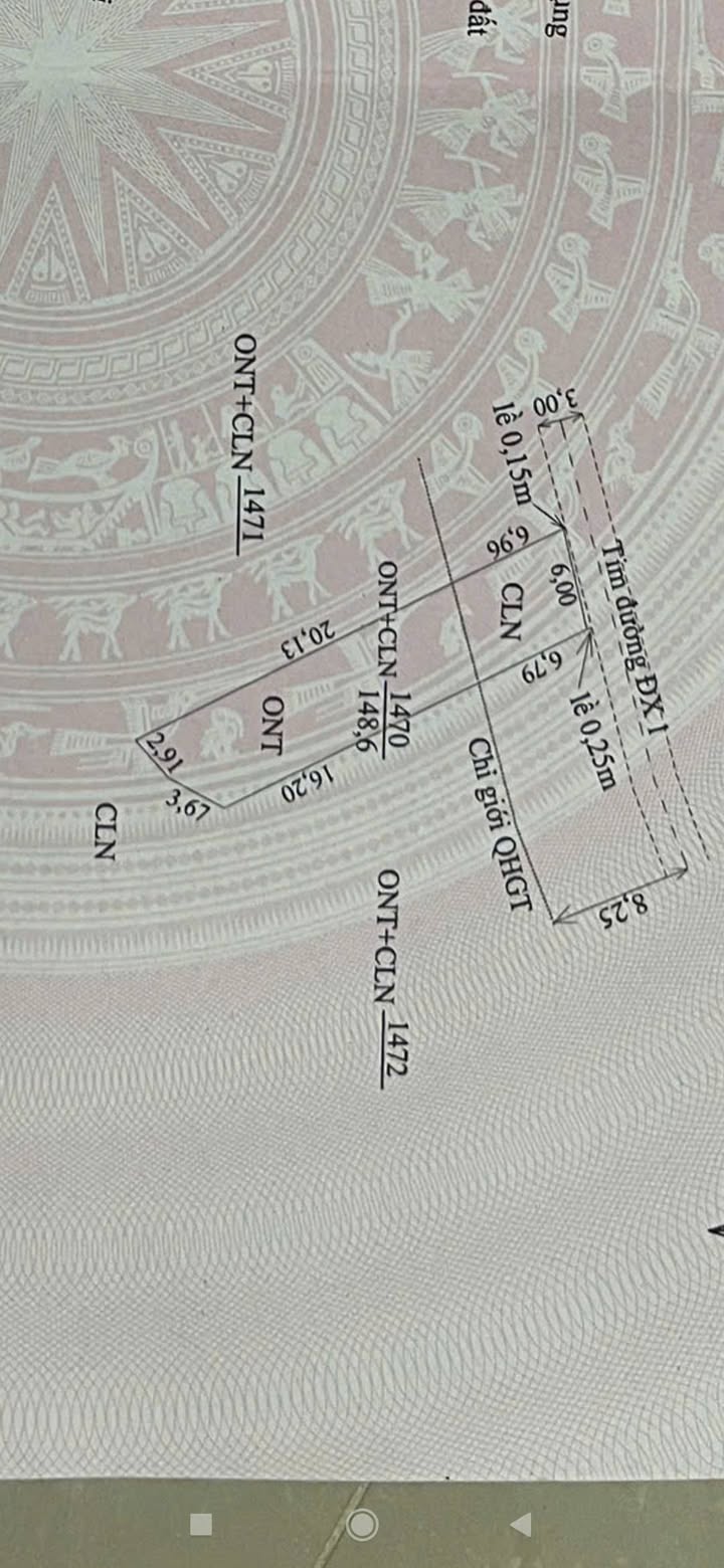 Đất thổ cư tại thôn Trung Đàn, xã Tam Đại - Diện tích 148m² giá chỉ 500 triệu!