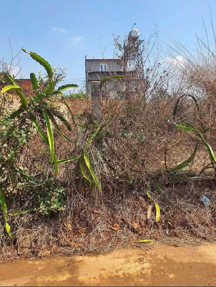 Đất nền đẹp Liên Nghĩa 120m² giá 1.05 tỷ - Cơ hội sở hữu nhanh chóng!