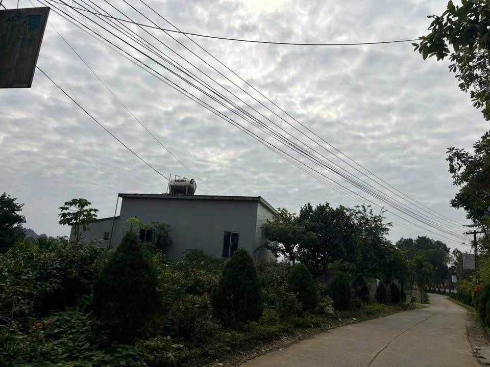 Lô đất 500m² tại Thanh Cao, Lương Sơn, Hòa Bình - Đầu tư sinh lời ngay!