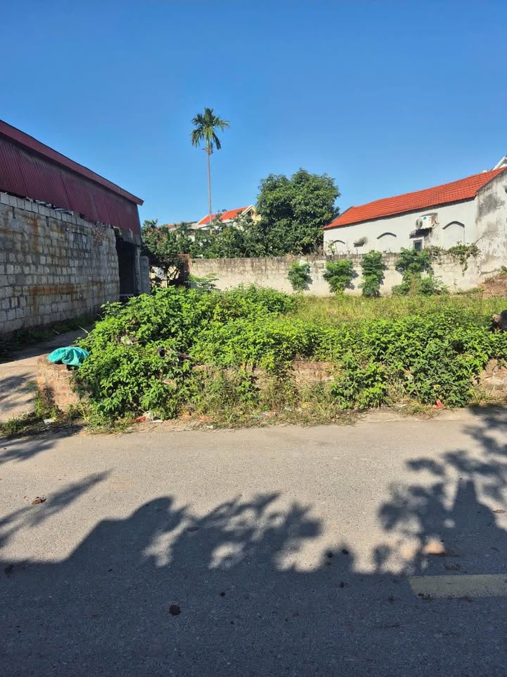 Lô đất Yên Nam Duy Tiên 144m² giá 1.9 tỷ - Cơ hội đầu tư tuyệt vời!