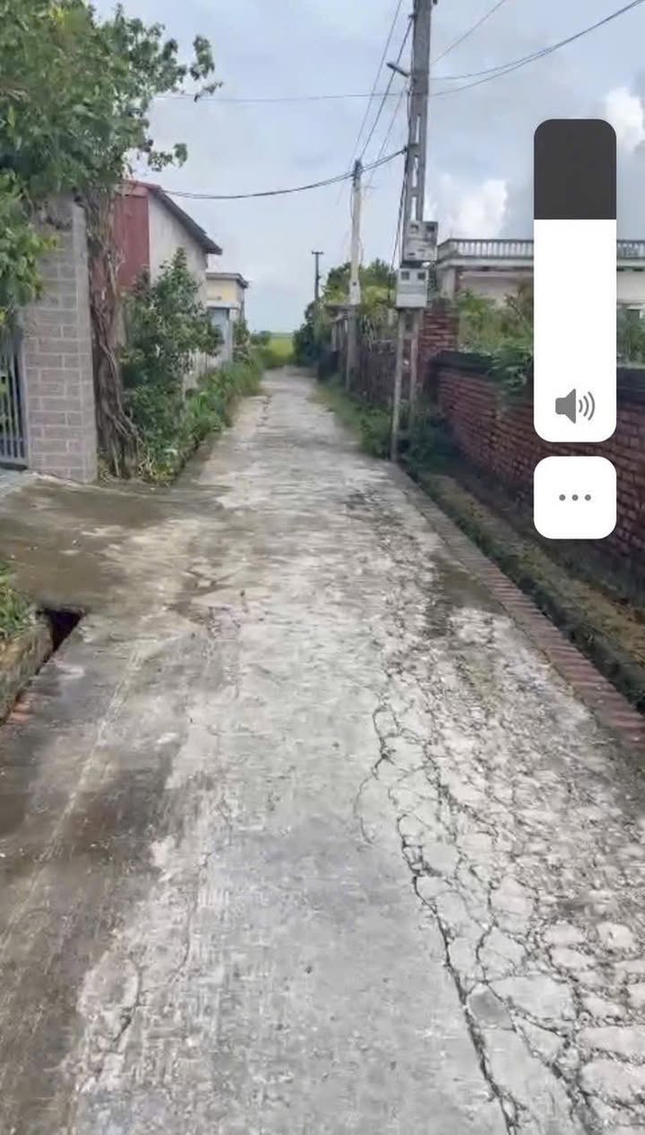 Đất thổ cư 100m² Thái Phúc Thái Thụy chỉ 300 triệu - Pháp lý chuẩn, giao dịch ngay!