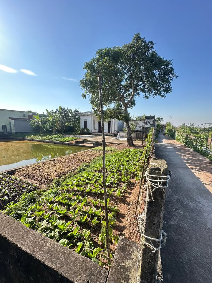 Lô đất biệt thự Xuân Giang 605m² giá 1.6 tỷ - Hướng Đông Nam thoáng mát!