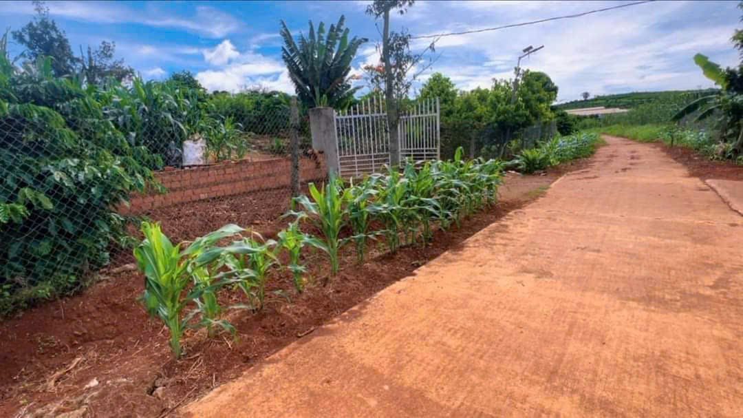 Đất nền 14400m² tại Nam Ban, Lâm Hà giá 900 triệu - Tiềm năng đầu tư lớn!