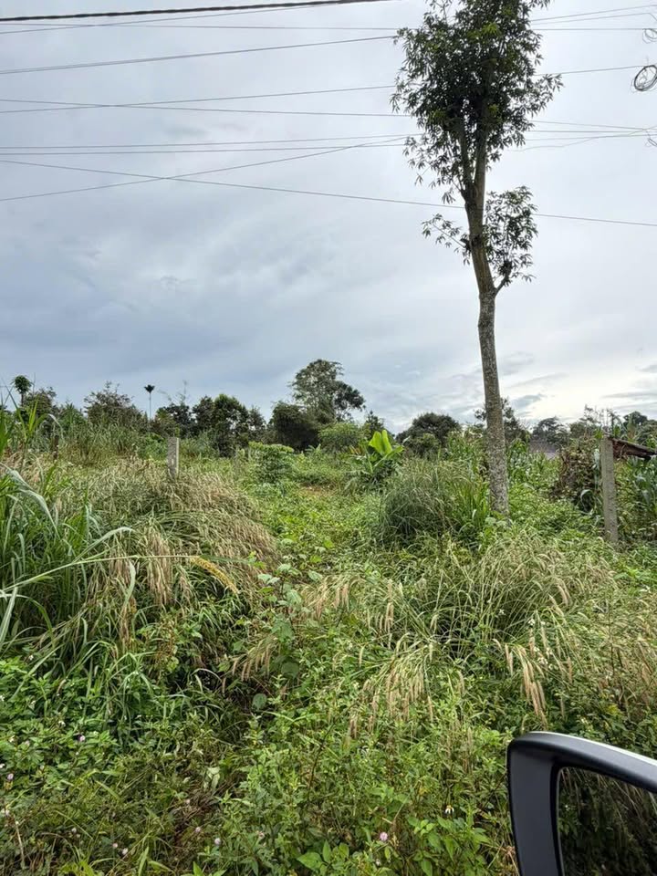 Đất nền Phường Đạt Hiếu, Buôn Hồ 235m² giá 630 triệu - Sổ hồng chính chủ, thuận tiện đi lại!