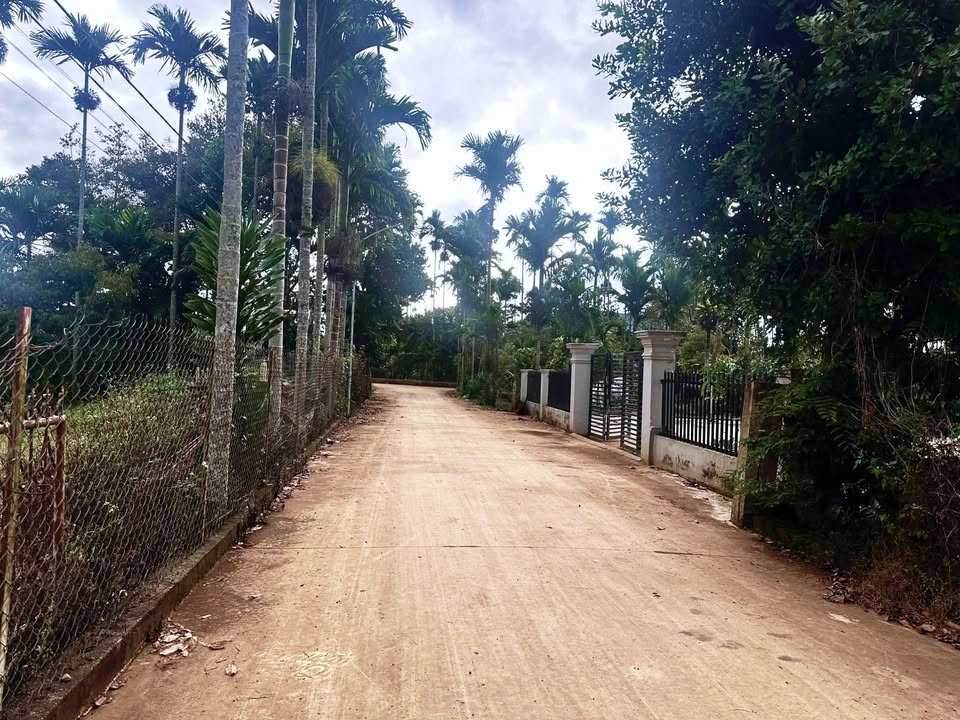 Đất thổ cư chính chủ tại P. Thống Nhất, Buôn Hồ – 40m² chỉ 770 triệu!