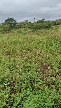 Đất nền thôn 8 xã Ea Siên 9.500m² giá 1.52 tỷ - Cơ hội đầu tư hấp dẫn!