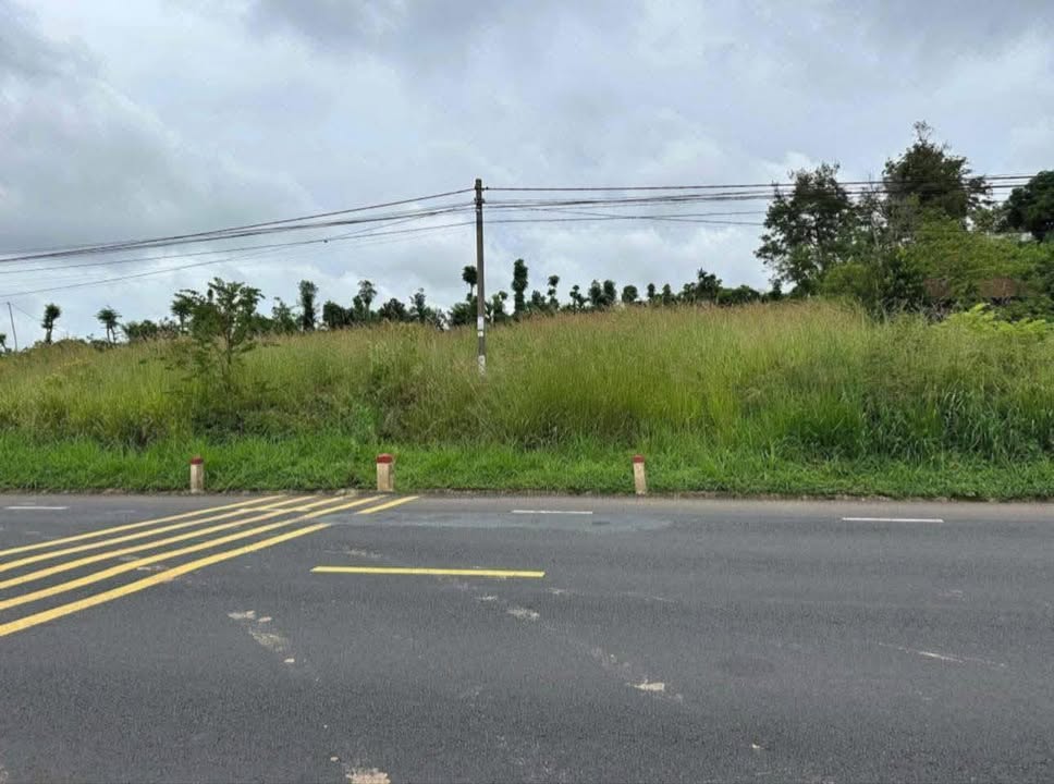 Đất Quốc Lộ 14 Đắk Mil 988m² giá 6.448 tỷ - Cơ hội đầu tư sinh lời!