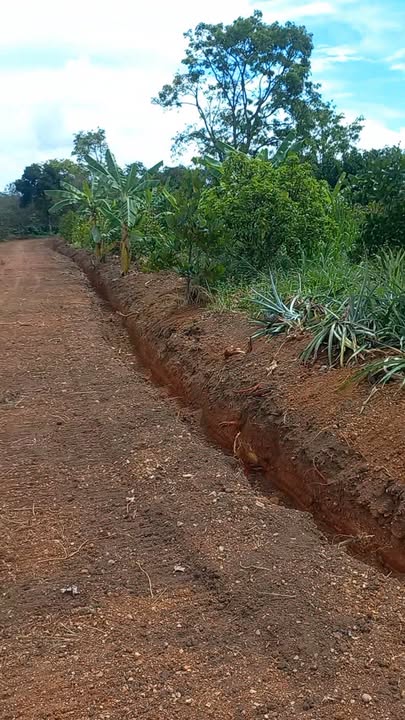 Đất nông nghiệp Ea Kar 4932m² giá 5.517 tỷ - Đang trồng cây ăn trái