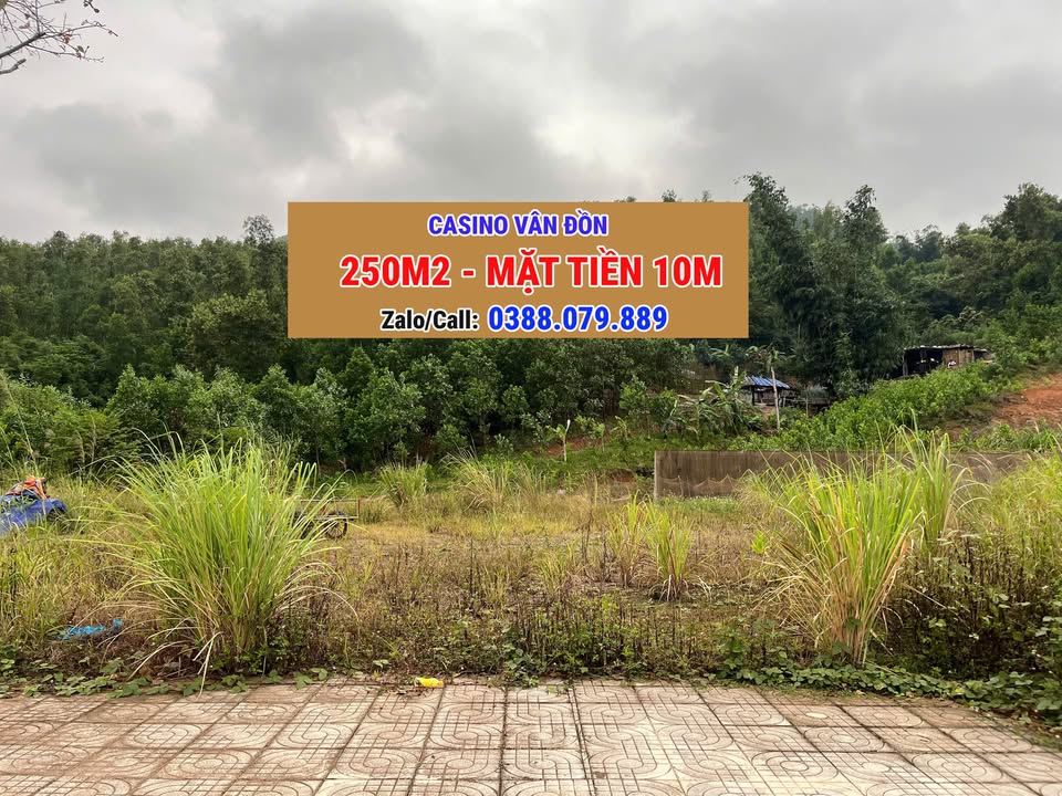 Đất nền 250m² Vạn Yên, Vân Đồn - Mặt tiền 10m, Giá cực tốt!