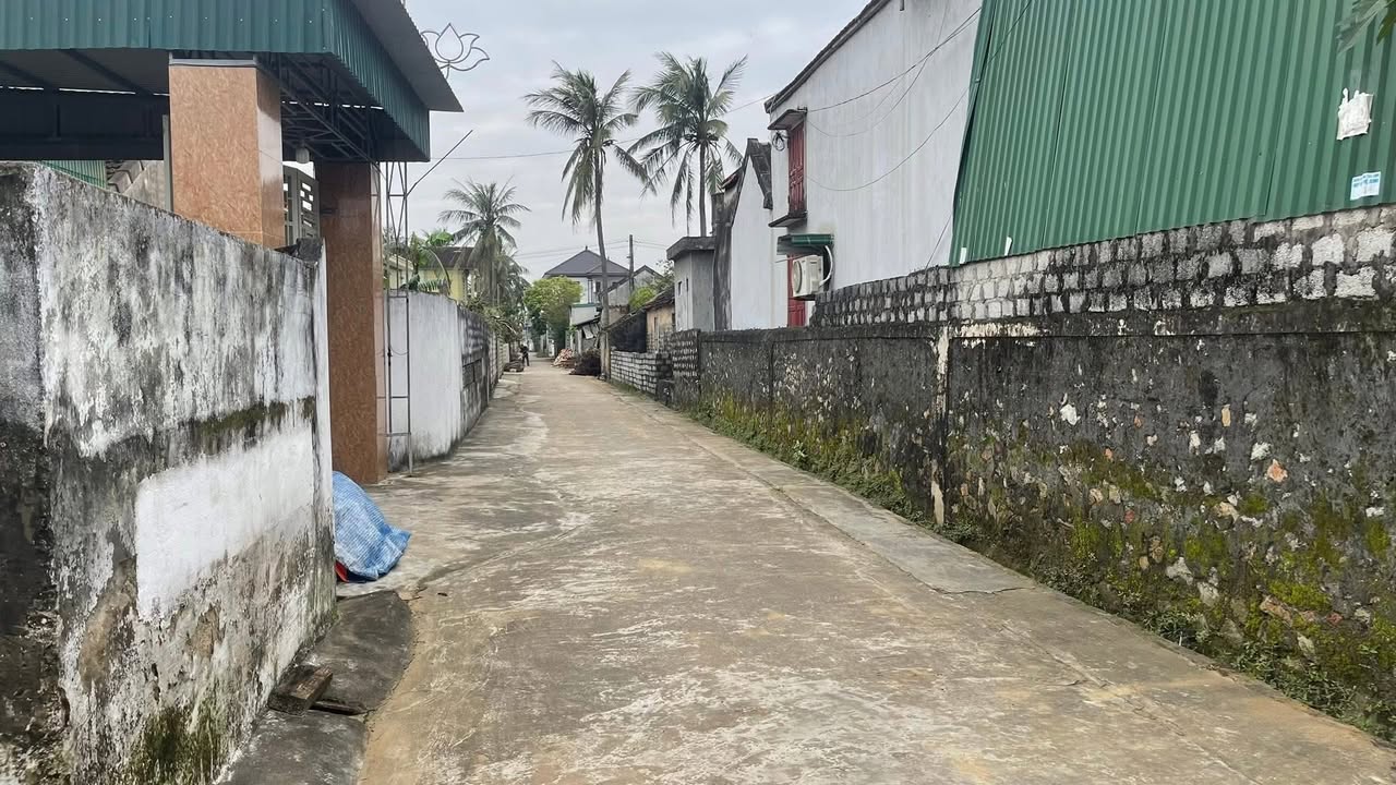 Đất nền Diễn Hùng Quỳnh Lưu 138m² - Giá thỏa thuận, lô góc F0 cho nhà đầu tư!