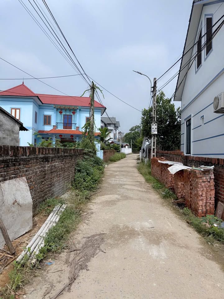 Đất nền Tam Đảo 100m² giá chỉ 8xx triệu - Cơ hội đầu tư vàng!