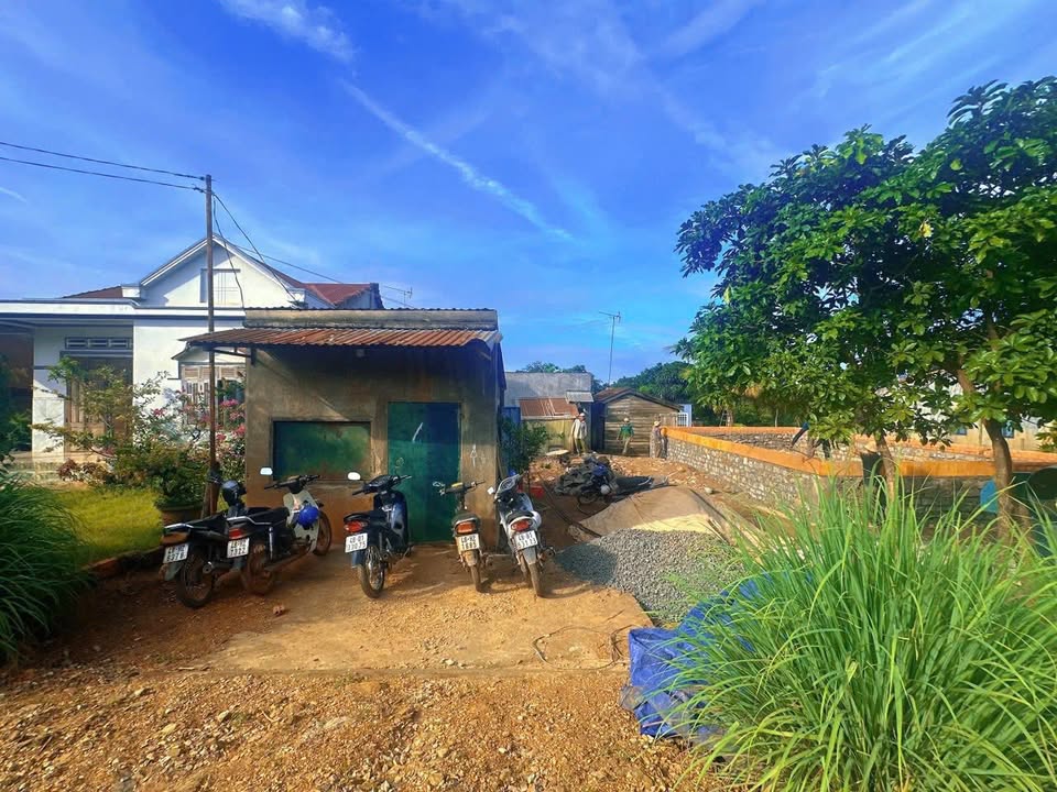 Đất nền Cư Jút 550m² giá 850 triệu - Đầu tư sinh lời ngay!