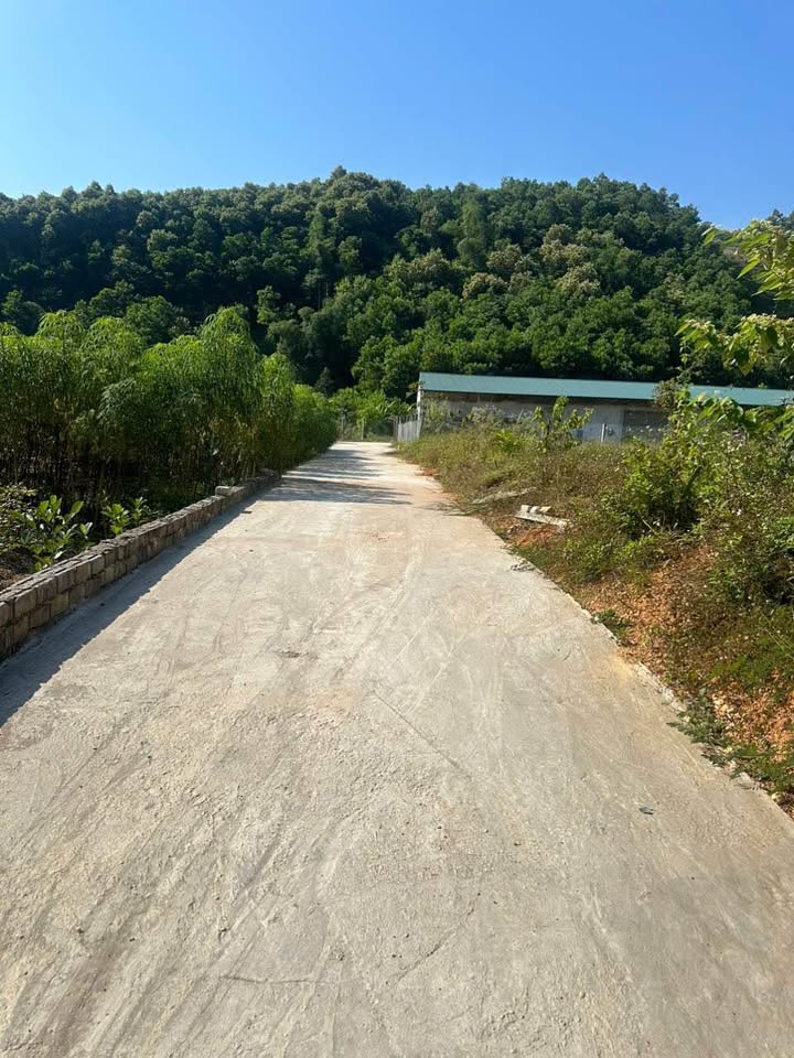 Đất thổ cư tại thôn Phúc Lộc A, xã An Khang, 110m² giá 580 triệu - Hướng Đông tiện lợi!